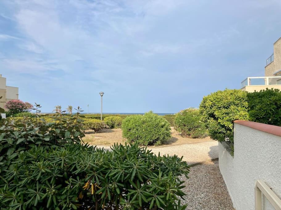 Le Grand Large 3 Pieces En Rez De Jardin, Avec Terrasse Et Acces Direct A La Plage A Pied Le Barcarès Buitenkant foto
